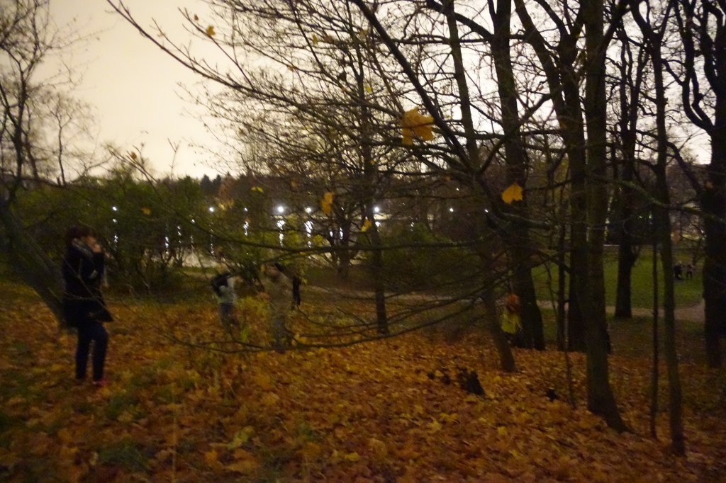 Yökyläilyä Omenapuutalossa